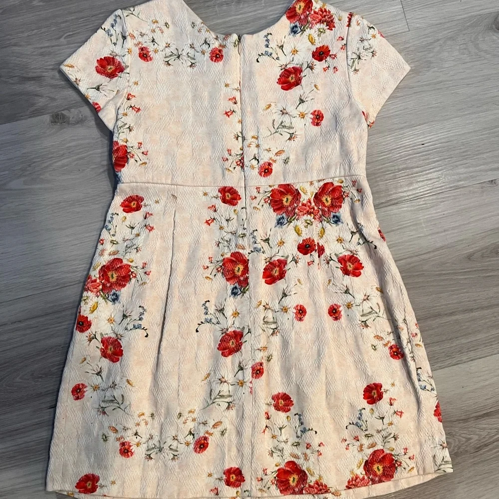 ZARA Floral Embroidered Dress‎